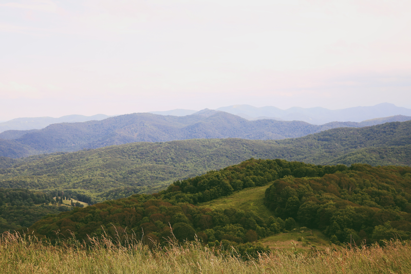 Illustration for article titled Max Patch Mountain, NC